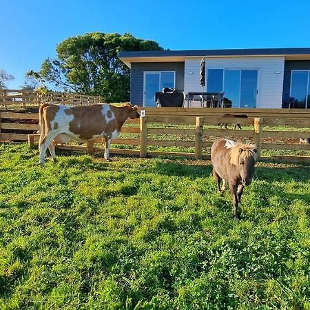 Country Comfort - Only 10 Minutes From Hamilton Cbd ภายนอก รูปภาพ