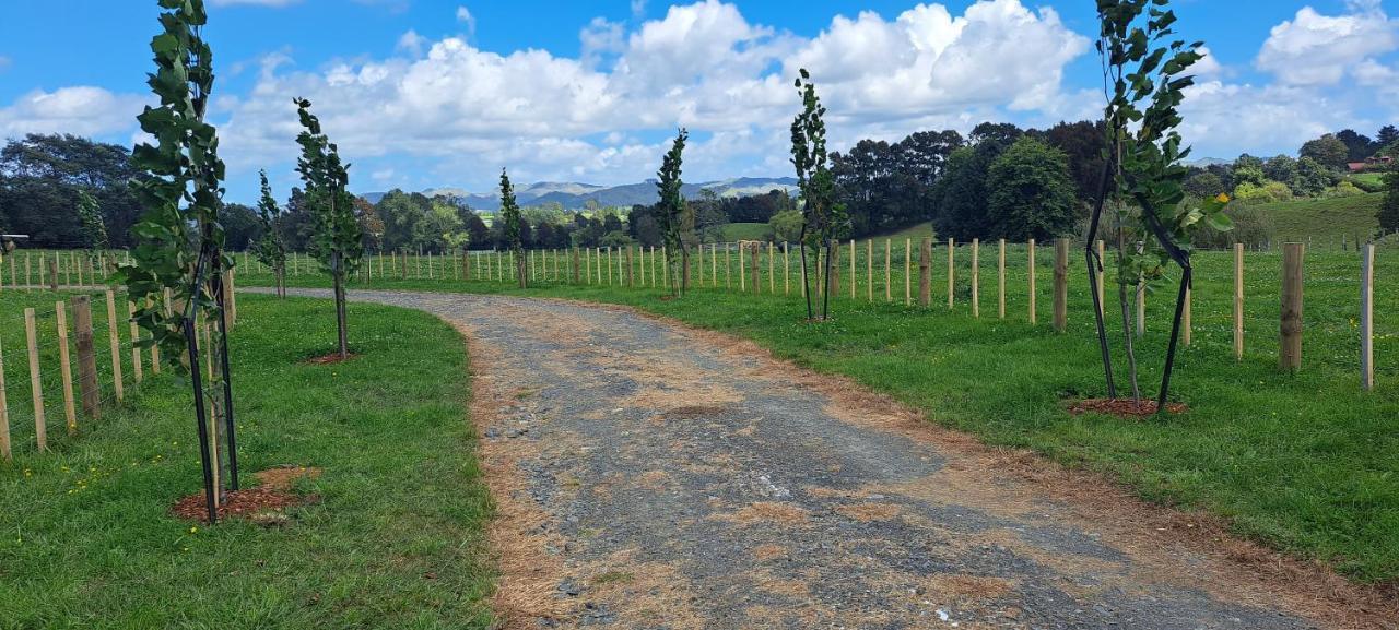 Country Comfort - Only 10 Minutes From Hamilton Cbd ภายนอก รูปภาพ