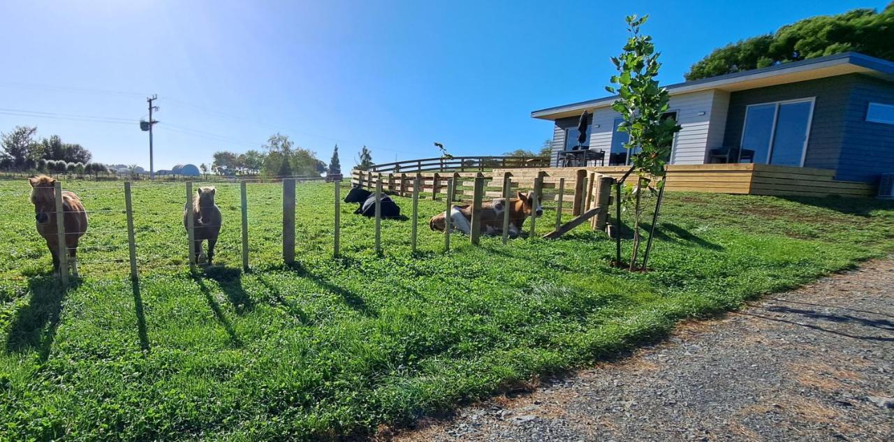 Country Comfort - Only 10 Minutes From Hamilton Cbd ภายนอก รูปภาพ