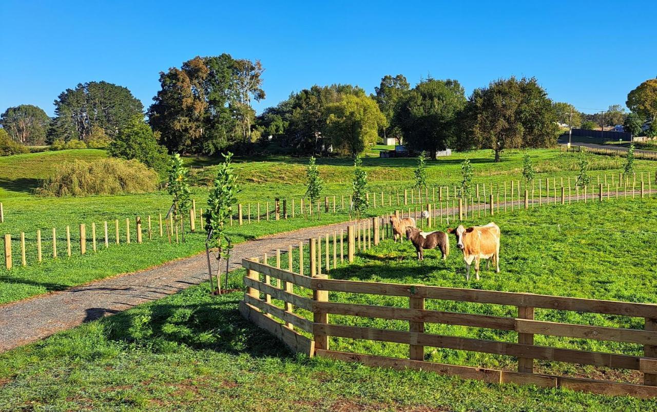 Country Comfort - Only 10 Minutes From Hamilton Cbd ภายนอก รูปภาพ