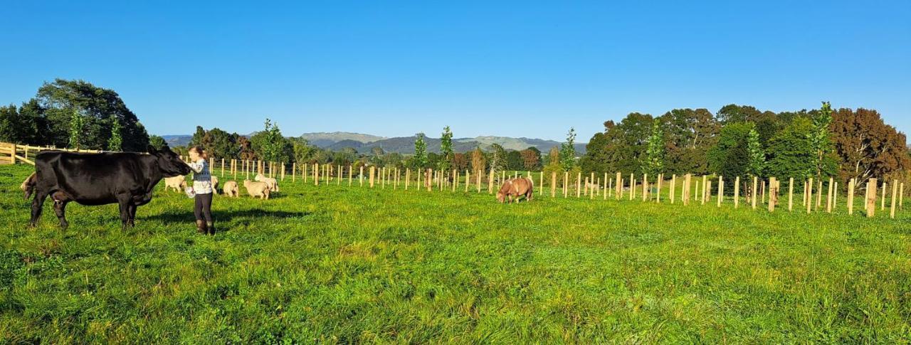 Country Comfort - Only 10 Minutes From Hamilton Cbd ภายนอก รูปภาพ