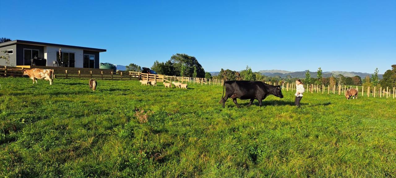 Country Comfort - Only 10 Minutes From Hamilton Cbd ภายนอก รูปภาพ